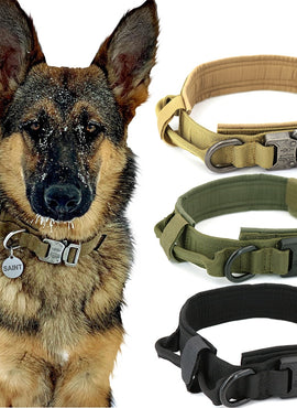 Dog Collar